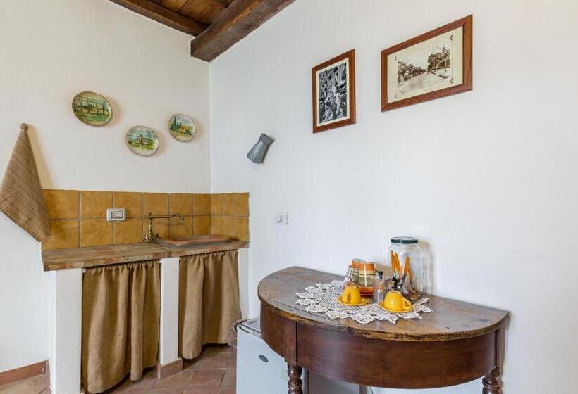 Quarto Estandar, Fondo Cipollate