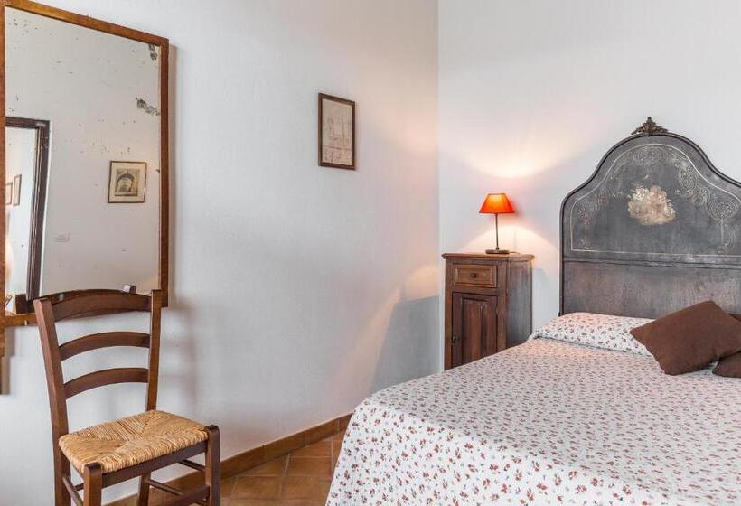 Quarto Deluxe, Fondo Cipollate