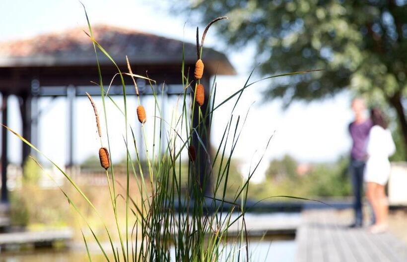 آپارتمان سوپریور 1 خوابه, Maison Des Vignes