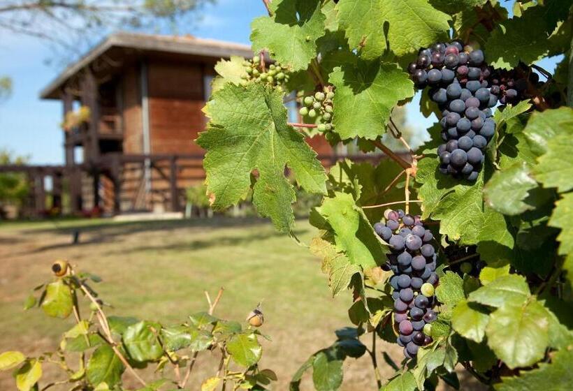 آپارتمان سوپریور 1 خوابه, Maison Des Vignes