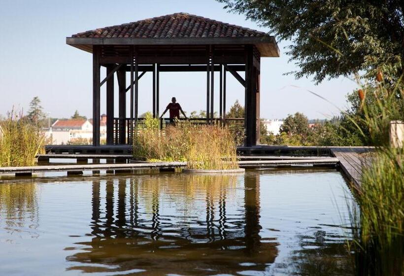 آپارتمان سوپریور 1 خوابه, Maison Des Vignes