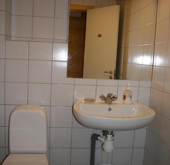 اتاق استاندارد با سرویس بهداشتی مشترک, Brekkulækur Guesthouse