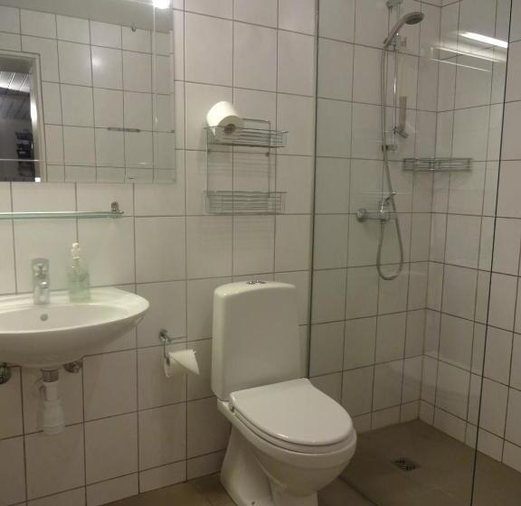 اتاق استاندارد با سرویس بهداشتی مشترک, Brekkulækur Guesthouse