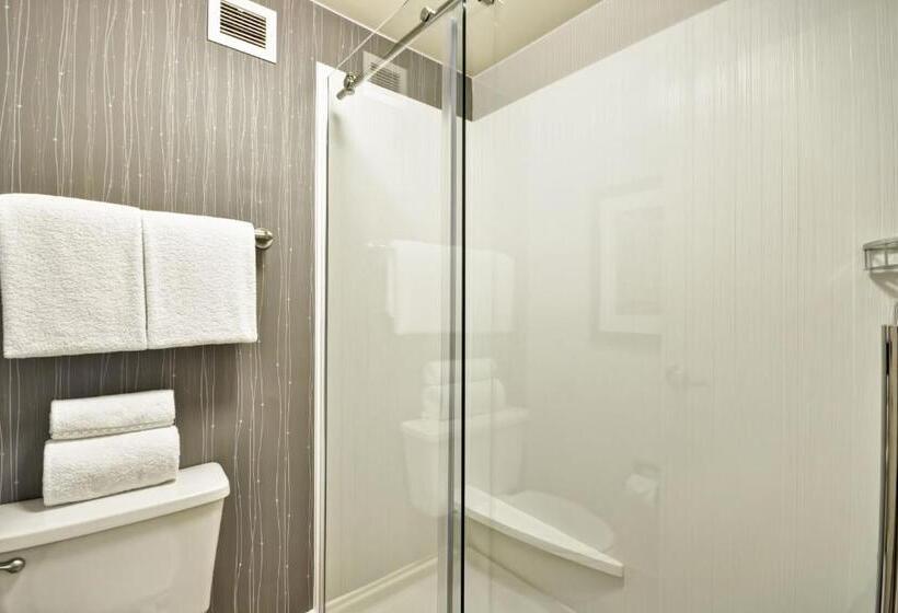 Quarto Estandar Cama King, Courtyard Dallas Medical Market Center
