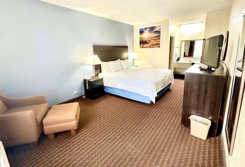 キングサイズベッドのスタンダードルーム, Days Inn By Wyndham Easley/greenville/clemson Area