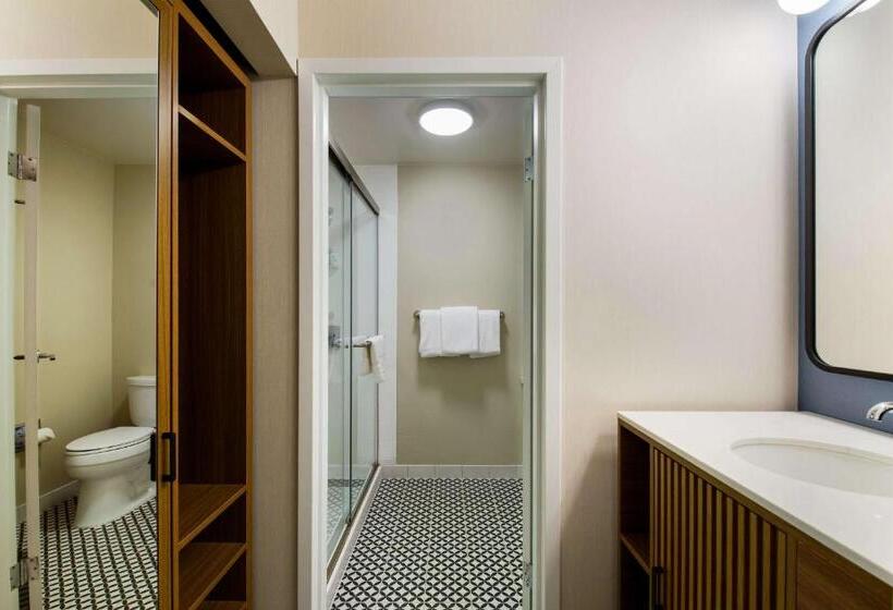 اتاق لوکس با تخت بزرگ, Sonesta Select Philadelphia Airport