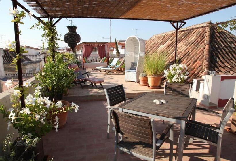استودیوی استاندارد, Casa Beleza Do Sul