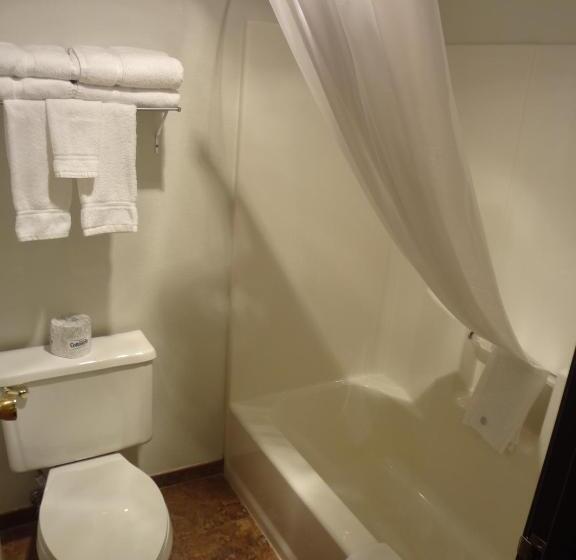 Номер Стандарт, Kings Inn Cody