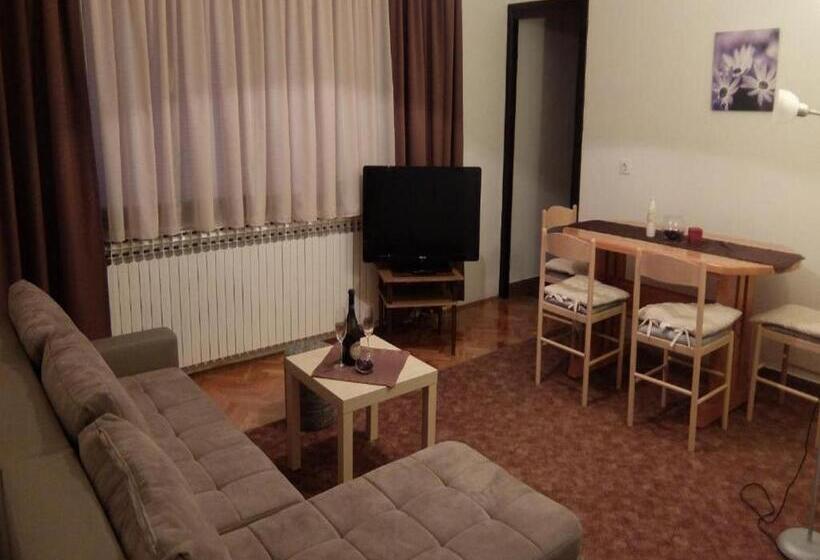 آپارتمان 1 خوابه با بالکن, Apartments & Rooms Rendulić