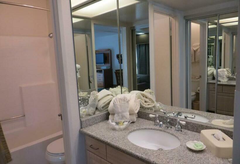 Студия Стандарт, Desert Breezes Resort