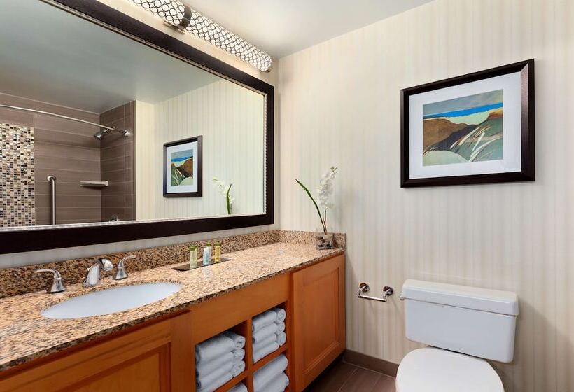 سوئیت برای معلولان, Doubletree Suites By Hilton Orlando   Disney Springs® Area