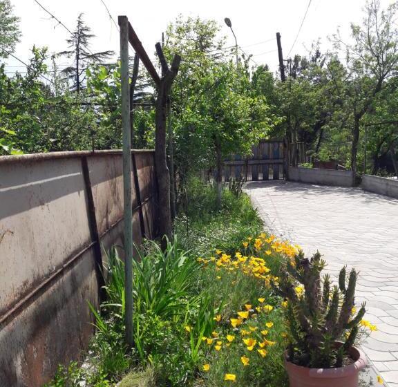 اتاق راحتی سه تخته, Sataplia District