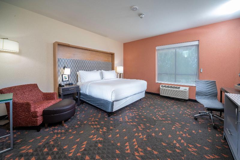适合残疾人使用的标准间, Holiday Inn St Louis   Creve Coeur, An Ihg