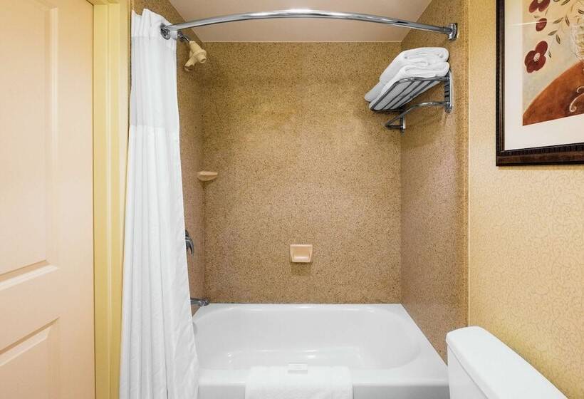 Люкс, Hilton Garden Inn Meridian