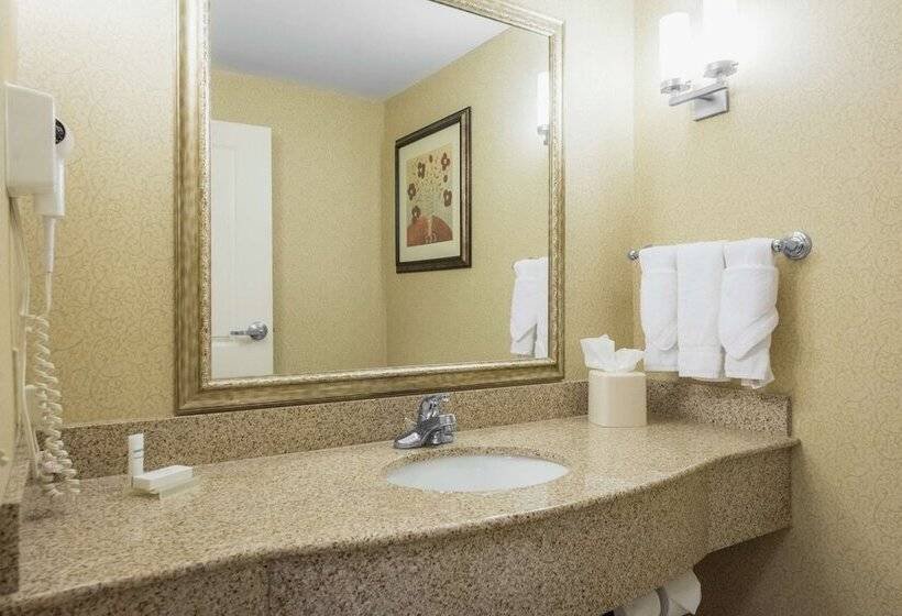 Люкс, Hilton Garden Inn Meridian