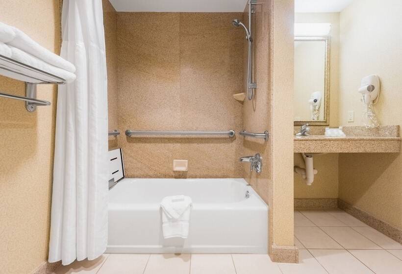 Номер Стандарт Адаптированный для Инвалидов, Hilton Garden Inn Meridian