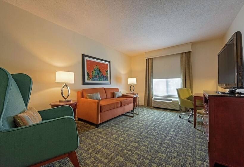 Люкс, Hilton Garden Inn Meridian