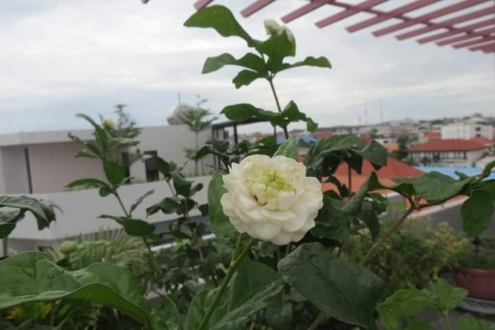 اتاق استاندارد یک نفره, 2n Residence