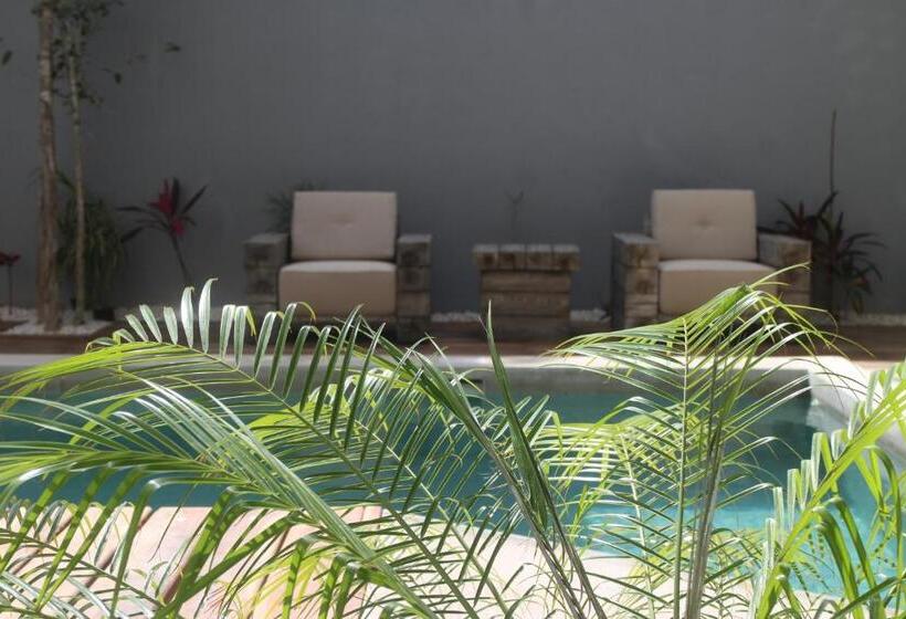 套房带泳池景, Little Gem Hotel Tulum La Veleta