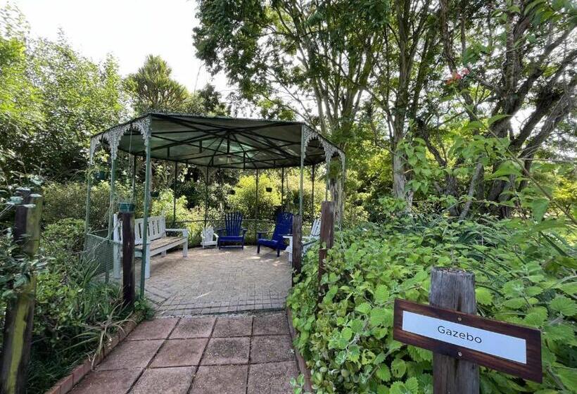 اتاق استاندارد, Halleria Self Catering