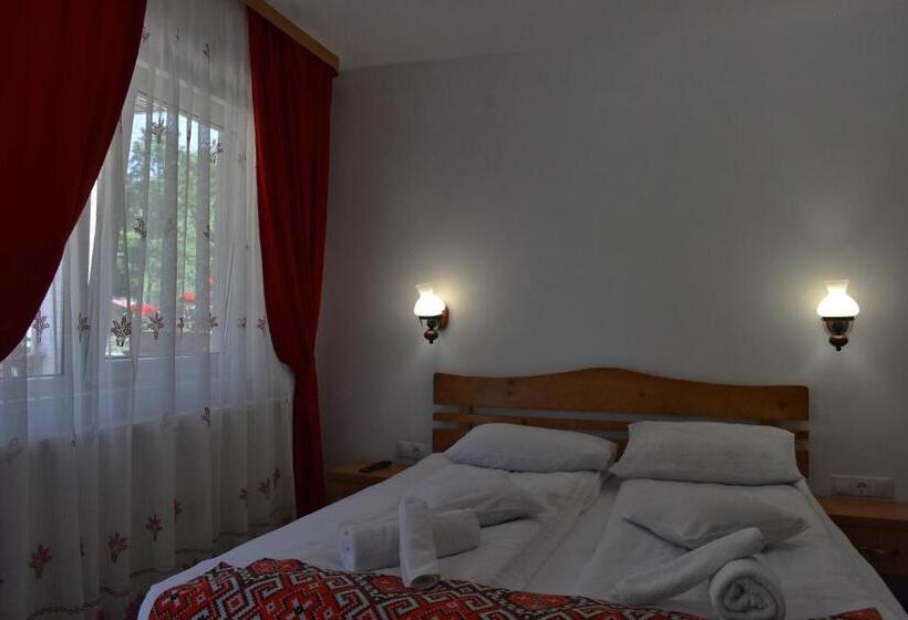Номер Стандарт, Casa Papițu