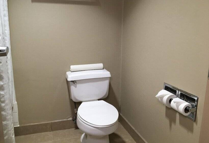 Номер Стандарт 2 Двуспальные Кровати, Comfort Inn & Suites Near Kino Sports Complex