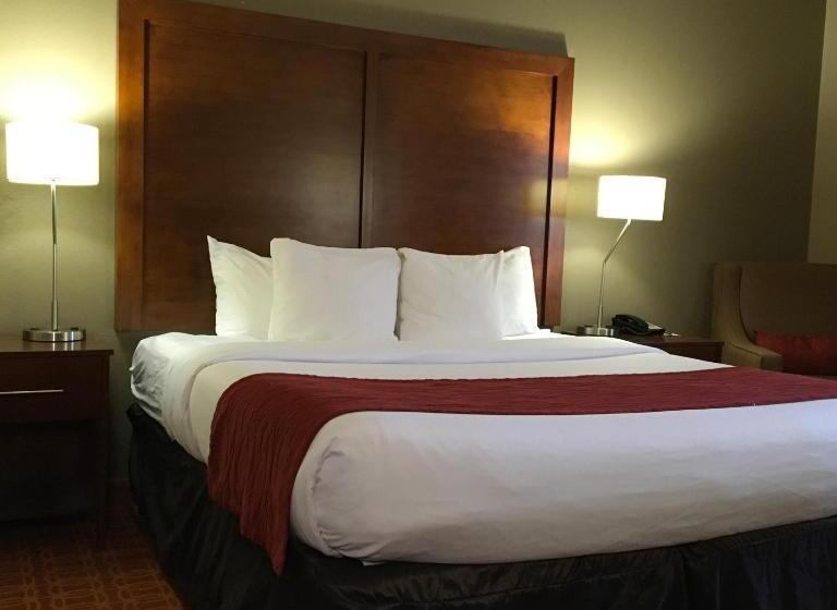 Стандартный Номер Кровать Кинг, Comfort Inn & Suites Near Kino Sports Complex