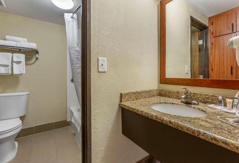 Номер Стандарт Адаптированный для Инвалидов, Comfort Inn & Suites Phoenix North   Deer Valley