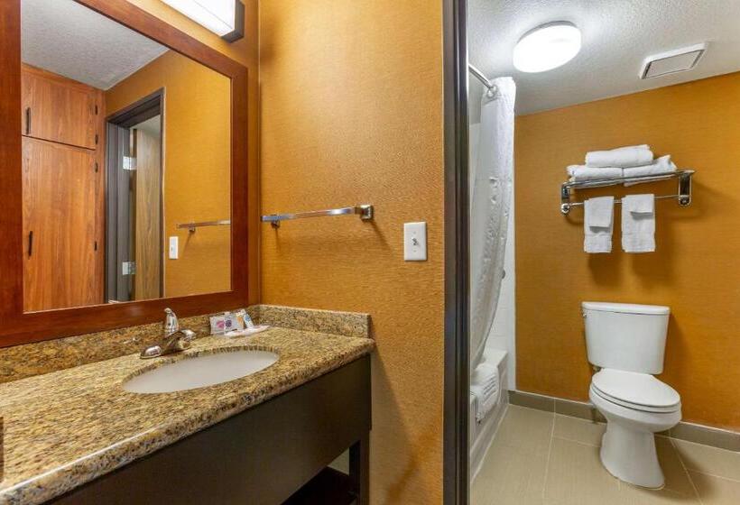 Номер Стандарт 2 Двуспальные Кровати, Comfort Inn & Suites Phoenix North   Deer Valley