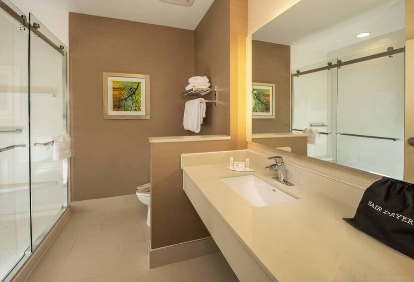 Habitació Estàndard 2 Llits Matrimoni, Fairfield Inn & Suites Dulles Airport