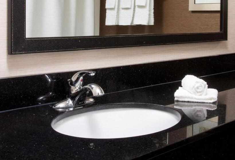 스탠다드 룸 킹사이즈 침대, Fairfield Inn & Suites South Bend Mishawaka