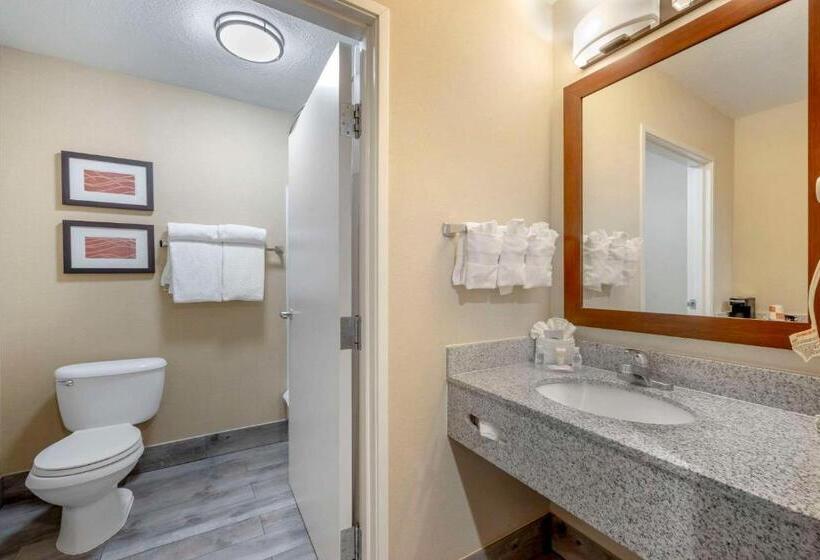 Номер Стандарт, Comfort Inn & Suites Orem  Provo