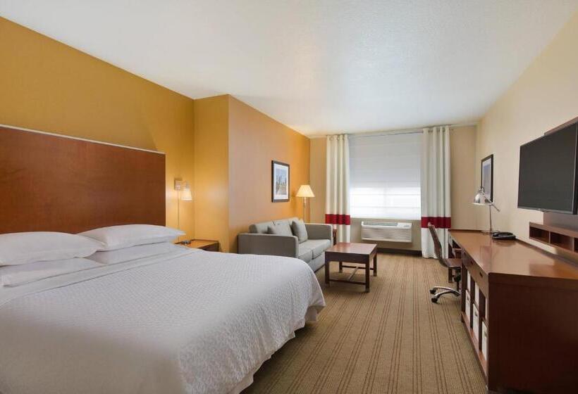 带大床的标准间, Four Points By Sheraton Portland East