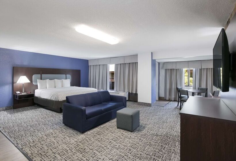 Suite met Uitzicht op de Rivier, Surestay Plus Hotel By Best Western Gatlinburg