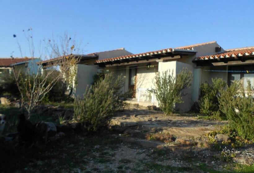 スタンダードルーム, Agriturismo Su Birde