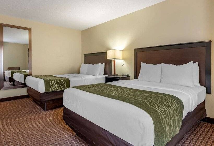 장애인을 위한 스위트, Comfort Inn & Suites Warsaw Near Us30
