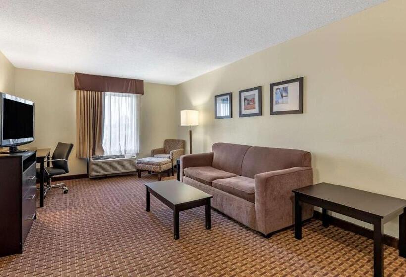 스위트, Comfort Inn & Suites Warsaw Near Us30