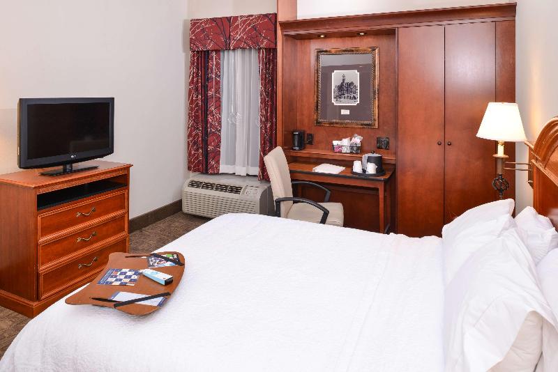 اتاق استاندارد با تخت بزرگ, Hampton Inn Gadsden