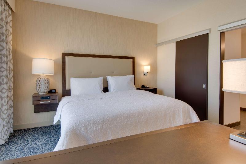 스탠다드 룸 킹사이즈 침대, Hampton Inn Idaho Falls At The Mall