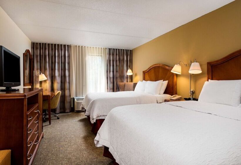 스탠다드 룸 더블 침대 2개, Hampton Inn Roanoke/hollins  I81