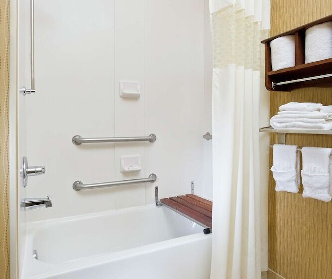 스탠다드 룸 더블 침대 2개, Hampton Inn San Angelo