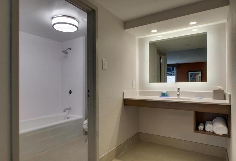 스위트 킹사이즈 침대, Holiday Inn Express Voorhees/ Mt. Laurel, An Ihg