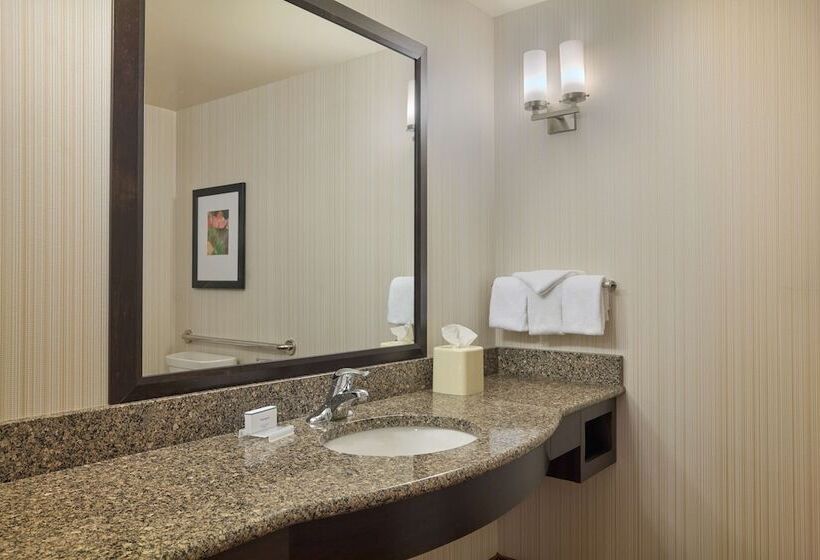 Люкс, Hilton Garden Inn Hershey