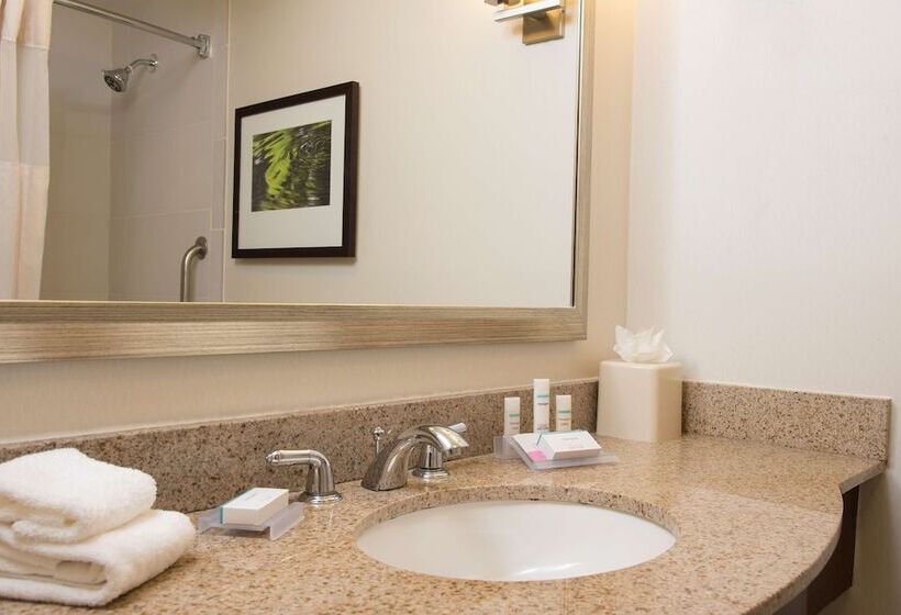 اتاق استاندارد با 2 تخت دوبل, Hilton Garden Inn Lexington Hamburg