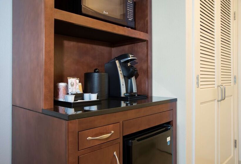 اتاق استاندارد با 2 تخت دوبل, Hilton Garden Inn Lexington Hamburg