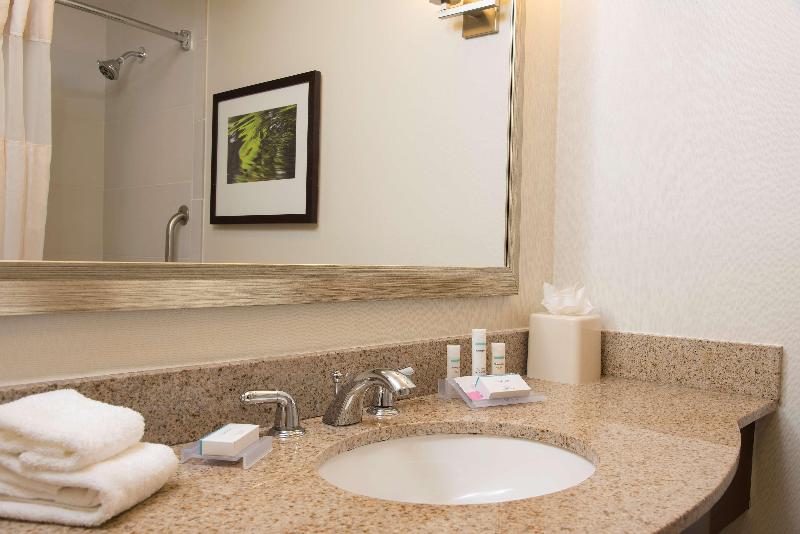 اتاق استاندارد با تخت بزرگ, Hilton Garden Inn Lexington Hamburg