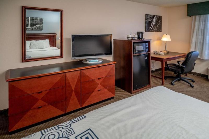 اتاق استاندارد با تخت بزرگ برای معلولان, Hilton Garden Inn Lexington Hamburg