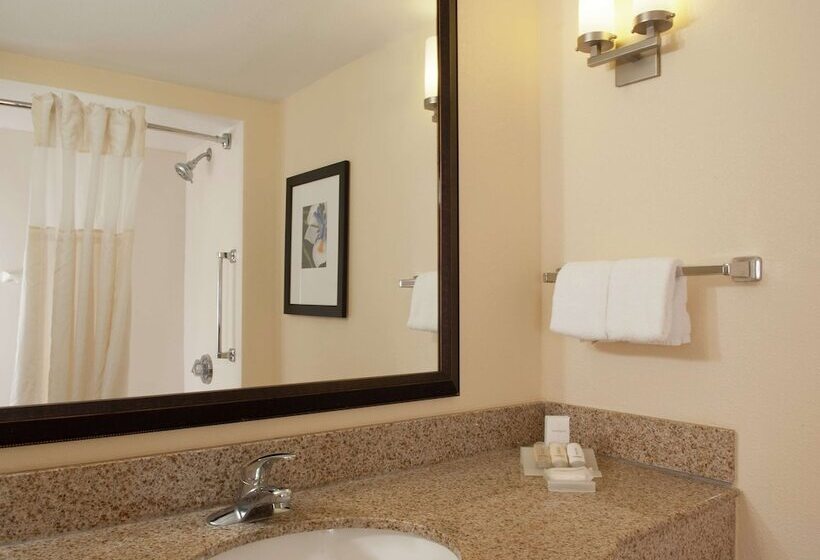 اتاق استاندارد, Hilton Garden Inn Orlando Airport