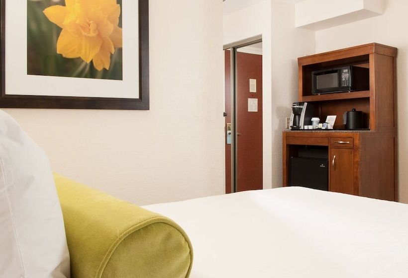 اتاق استاندارد, Hilton Garden Inn Orlando Airport