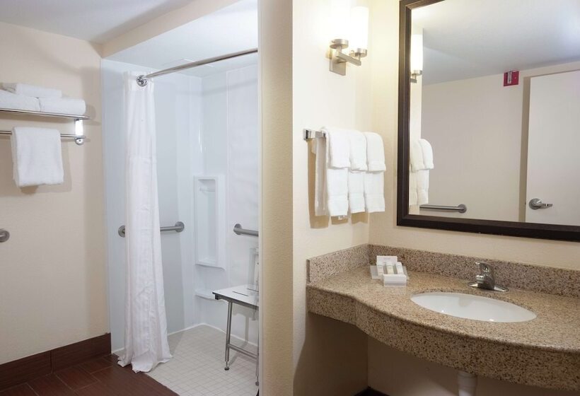 اتاق استاندارد برای معلولان, Hilton Garden Inn Orlando Airport